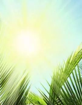 眼睛的八大死敵 眼睛的八大死敵