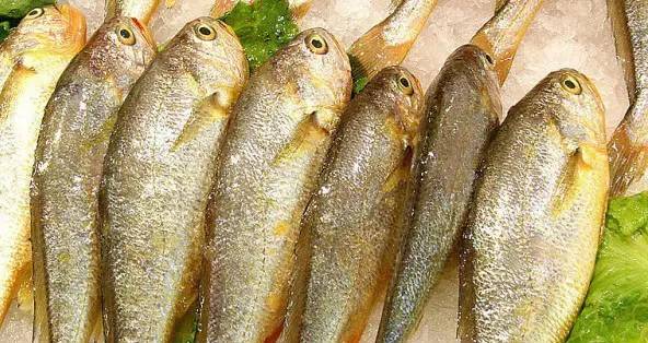 五種營養素讓孩子遠離近視眼 五種營養素讓孩子遠離近視眼