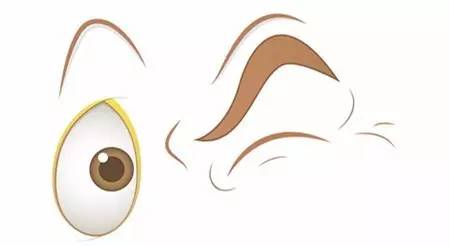 眼睛最愛的十件事,你了解多少? 眼睛最愛的十件事,你了解多少?