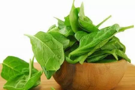 眼睛干、累？別急，吃這些可以緩解！