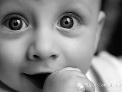 眼睛的視路包括哪幾部分？