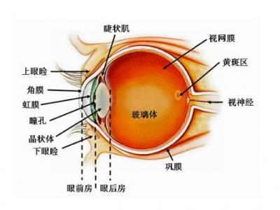 警惕!這樣給寶寶拍照會影響視力!