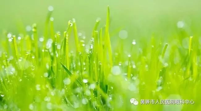 預防兒童近視遵循這八個預防要點 預防兒童近視遵循這八個預防要點