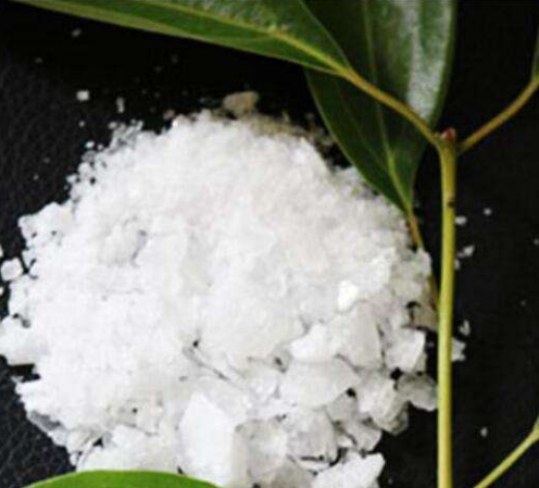 冰片的功效與作用及禁忌-易網健康<a href=http://www.jsjjzhkt.cn/jkys/ target=_blank class=infotextkey>養生</a>網 冰片的功效與作用及禁忌