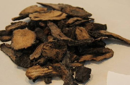 肉蓯蓉的危害極大-易網<a href=http://www.jsjjzhkt.cn/ target=_blank class=infotextkey>健康養生</a>網 肉蓯蓉的危害極大