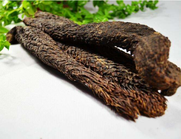 (10種除濕效果最好的中成藥)除濕效果最好的中成藥-易網健康<a href=http://www.jsjjzhkt.cn/jkys/ target=_blank class=infotextkey>養生</a>網 (10種除濕效果最好的中成藥)除濕效果最好的中成藥