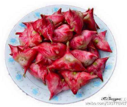 紅菱角的功效與作用-易網(wǎng)<a href=http://www.jsjjzhkt.cn/ target=_blank class=infotextkey>健康養(yǎng)生</a>網(wǎng) 紅菱角的功效與作用