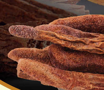 中藥鎖陽的功效與作用-易網(wǎng)健康<a href=http://www.jsjjzhkt.cn/jkys/ target=_blank class=infotextkey>養(yǎng)生</a>網(wǎng) 中藥鎖陽的功效與作用