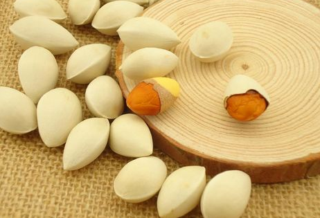 銀杏果的功效與作用及食用方法-易網(wǎng)健康<a href=http://www.jsjjzhkt.cn/jkys/ target=_blank class=infotextkey>養(yǎng)生</a>網(wǎng) 銀杏果的功效與作用及食用方法