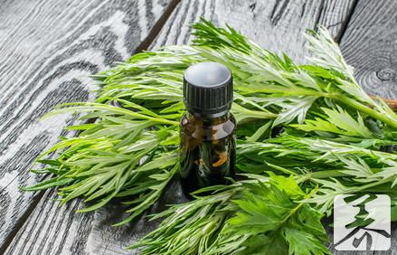 艾草熏腰有什么作用