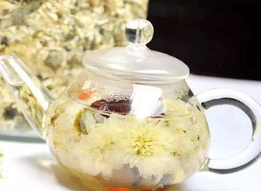 白菊花茶的功效與作用_禁忌-易網(wǎng)健康<a href=http://www.jsjjzhkt.cn/jkys/ target=_blank class=infotextkey>養(yǎng)生</a>網(wǎng) 白菊花茶的功效與作用_禁忌