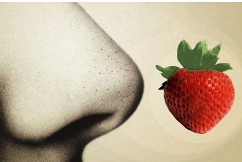 女人黑鼻頭徹底清除小妙招-易網(wǎng)健康<a href=http://www.jsjjzhkt.cn/jkys/ target=_blank class=infotextkey>養(yǎng)生</a>網(wǎng) 女人黑鼻頭徹底清除小妙招