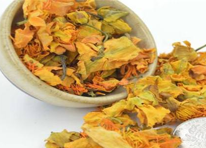 矮人陀的功效與作用及禁忌-易網健康<a href=http://www.jsjjzhkt.cn/jkys/ target=_blank class=infotextkey>養生</a>網 矮人陀的功效與作用及禁忌