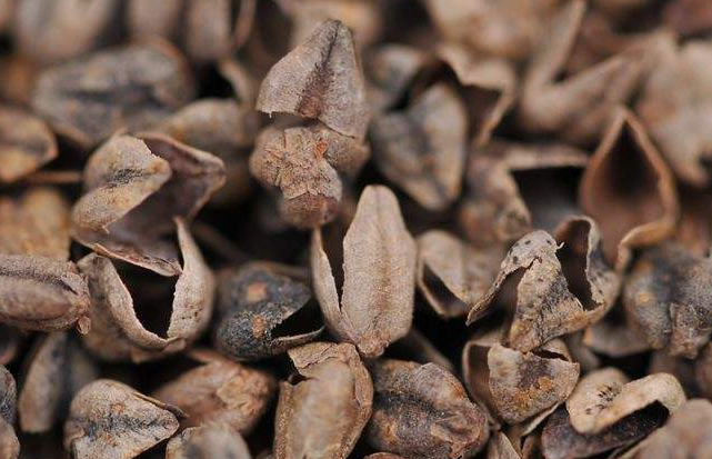 熬夜上火怎么辦?減少熬夜預防這種疾病-易網健康<a href=http://www.jsjjzhkt.cn/jkys/ target=_blank class=infotextkey>養生</a>網 熬夜上火怎么辦?減少熬夜預防這種疾病