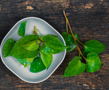 憂遁草的主治功能-易網(wǎng)健康<a href=http://www.jsjjzhkt.cn/jkys/ target=_blank class=infotextkey>養(yǎng)生</a>網(wǎng) 憂遁草的主治功能