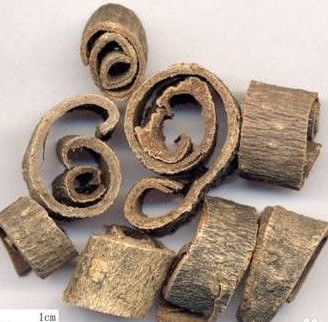 凹樸皮的功效與作用及禁忌