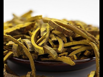 黃柏的功效與作用及禁忌_副作用及食用方法