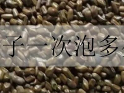 決明子一次泡多少粒