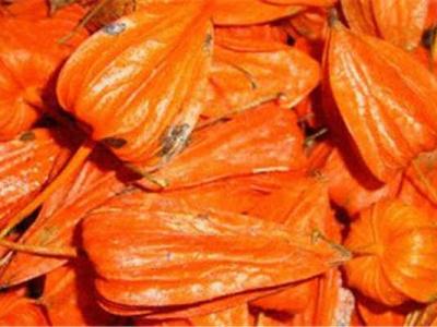 苦姑娘皮泡水喝功效