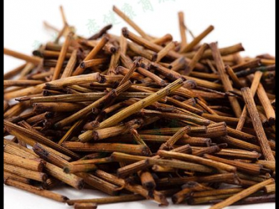 蜜麻黃的功效與作用_禁忌