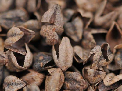 熬夜上火怎么辦?減少熬夜預防這種疾病