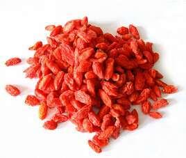 枸杞頭和枸杞子的營養功效介紹