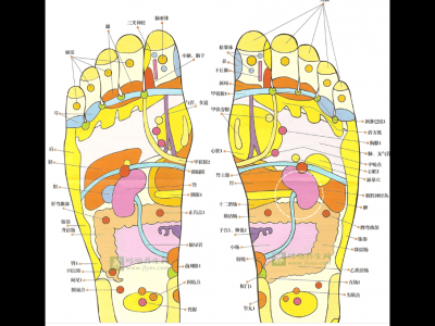 足療按摩手法流程課堂教學(xué)