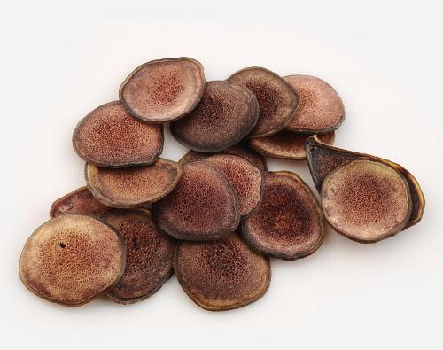 鹿茸有保質期嗎