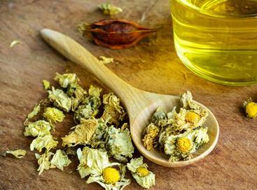 女人長期喝菊花茶好嗎