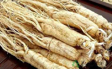 紅參對(duì)男性性功能