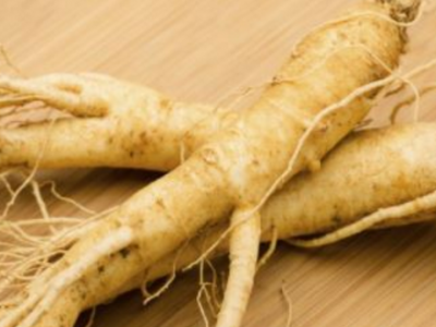 人參合適什么季節吃