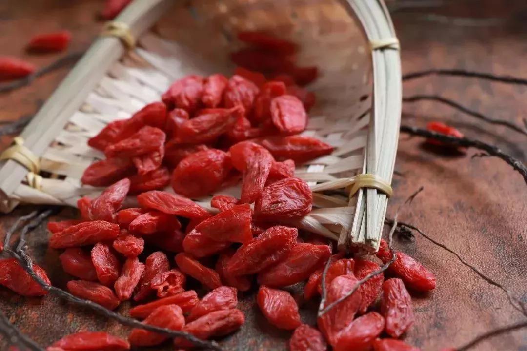 枸杞頭的功效與作用 枸杞頭的藥用價值-易網健康<a href=http://www.jsjjzhkt.cn/jkys/ target=_blank class=infotextkey>養生</a>網 枸杞頭的功效與作用 枸杞頭的藥用價值