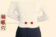 枸杞會變質嗎 怎樣判斷枸杞變質