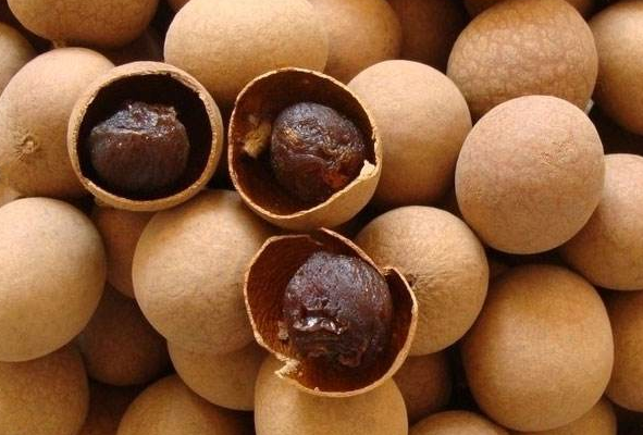 桂圓殼泡水有什么功效-易網<a href=http://www.jsjjzhkt.cn/ target=_blank class=infotextkey>健康養生</a>網 桂圓殼泡水有什么功效