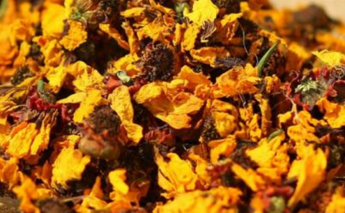 天山雪菊的功效與作用副作用-易網健康<a href=http://www.jsjjzhkt.cn/jkys/ target=_blank class=infotextkey>養生</a>網 天山雪菊的功效與作用副作用