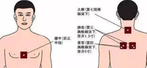 三伏貼貼什么位置圖