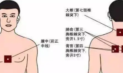 三伏貼貼什么位置圖
