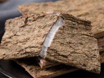 可以補腎壯陽的樹皮 杜仲的功效