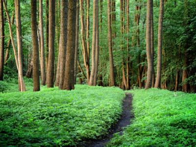 中藥治療面癱偏方？中醫治療面癱多長時間