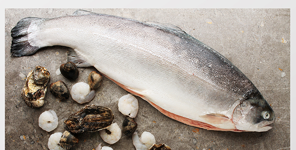 吃什么補蛋白質(zhì)最快?十大高蛋白食物排行榜-易網(wǎng)健康<a href=http://www.jsjjzhkt.cn/jkys/ target=_blank class=infotextkey>養(yǎng)生</a>網(wǎng) 吃什么補蛋白質(zhì)最快?十大高蛋白食物排行榜