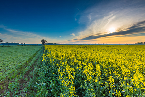 民間治近視偏方秘方?6種根治近視神奇民間秘方-易網健康<a href=http://www.jsjjzhkt.cn/jkys/ target=_blank class=infotextkey>養生</a>網 民間治近視偏方秘方?6種根治近視神奇民間秘方