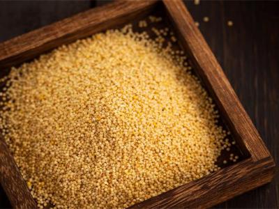 哪些食物減肥又養胃？6種營養減肥的食物