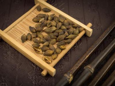 蒼耳子怎么吃才沒有毒?100度高溫能去毒性