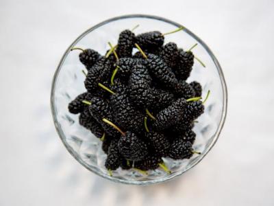 中醫10方法根治白頭發？中醫治白發最有效秘方