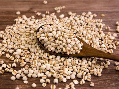 秋天怎樣去除體內(nèi)濕氣?秋季去濕氣最好的方法