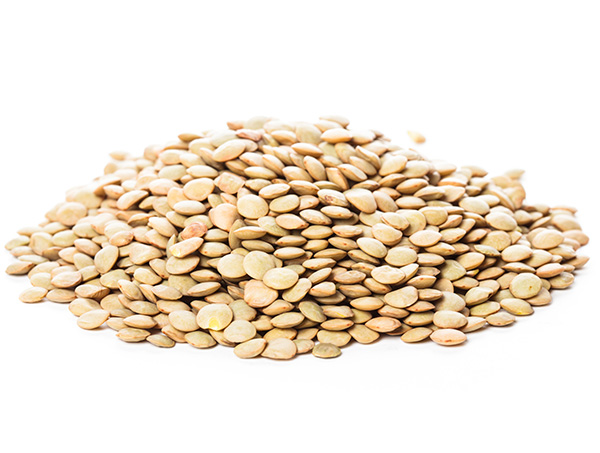 扁豆花的功效與作用?野扁豆的功效與作用-易網(wǎng)健康<a href=http://www.jsjjzhkt.cn/jkys/ target=_blank class=infotextkey>養(yǎng)生</a>網(wǎng) 扁豆花的功效與作用?野扁豆的功效與作用