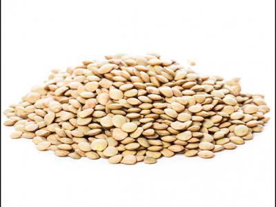 扁豆花的功效與作用？野扁豆的功效與作用