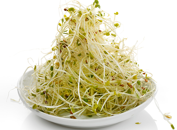 開胃的食物有哪些 不傷胃的開胃涼拌菜做法-易網健康<a href=http://www.jsjjzhkt.cn/jkys/ target=_blank class=infotextkey>養生</a>網 開胃的食物有哪些 不傷胃的開胃涼拌菜做法