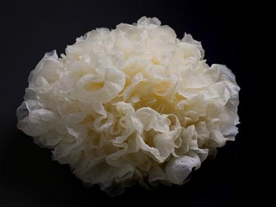 銀耳可以每天吃嗎(銀耳蓮子湯能天天喝嗎)