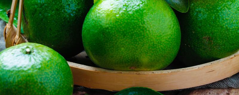 皇帝柑買黃的還是青的【皇帝柑為什么青的還那么甜】-易網健康<a href=http://www.jsjjzhkt.cn/jkys/ target=_blank class=infotextkey>養生</a>網 皇帝柑買黃的還是青的【皇帝柑為什么青的還那么甜】